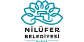 air fiber bursa Kablosuz wifi  nilufer belediyesi    